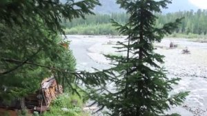 Агафья Лыкова. Как ловили медведя