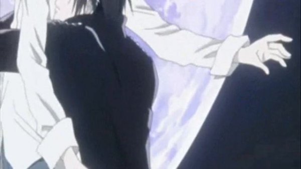 кошка сашка вода и огонь (koshka sashka voda i ogon')