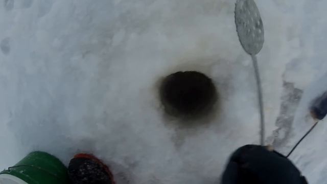 Зимний налим!!! Едем проверять!!