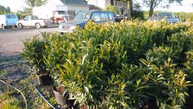 Warning Danger Graphic death of Worms смотреть онлайн