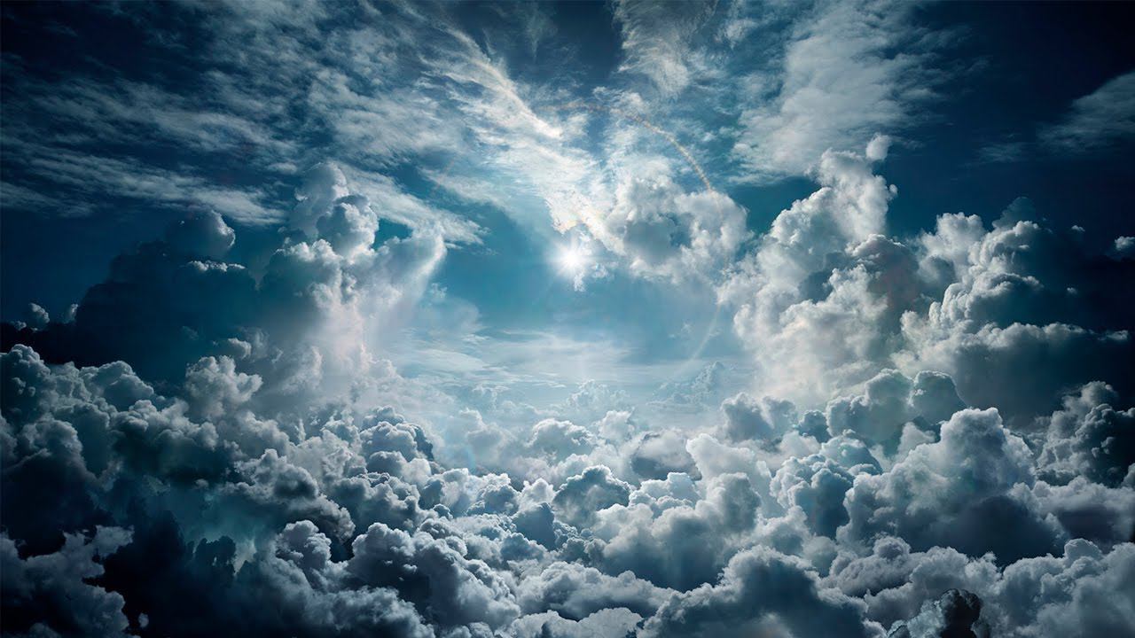 Andres Danchin - My Never Fading Star