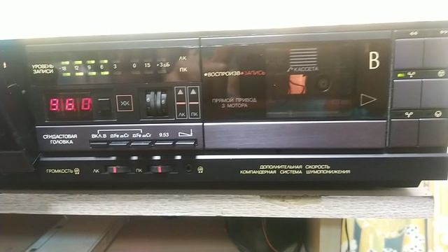 вега122вставрополье