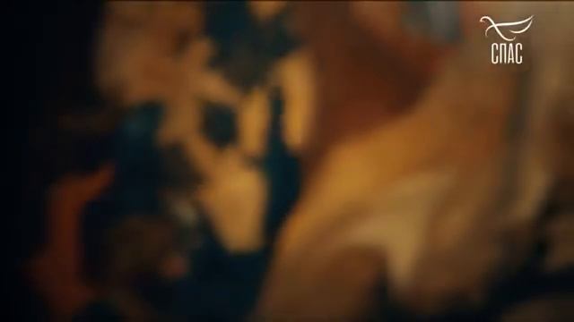 ЗАВЕТ. ЗАЧЕМ НОСИТЬ ТЯГОТЫ ДРУГ ДРУГА?