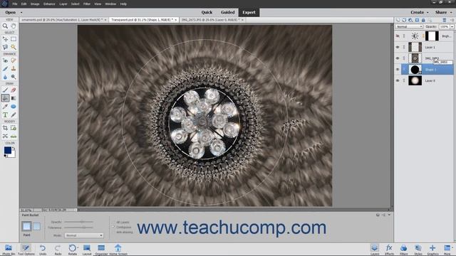 Photoshop Elements 2021 Tutorial Stacking Layers and Ordering Layers Adobe Training смотреть онлайн