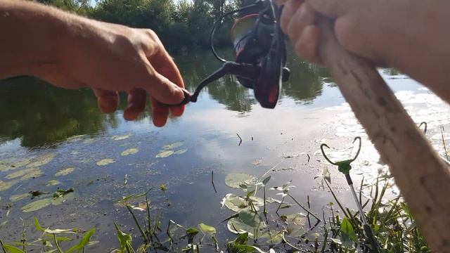 Лещи на Дону пошли! Две рыбалки на леща смотреть онлайн