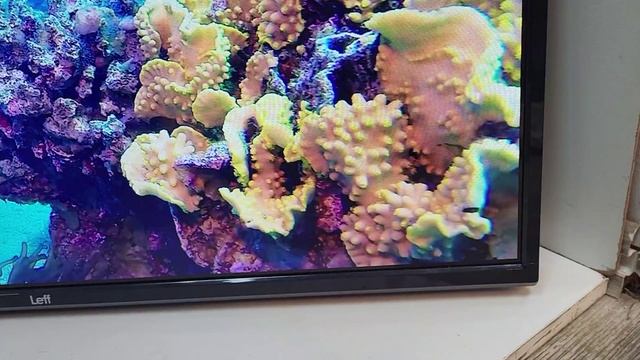 Видео №359153