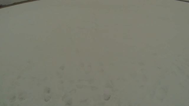 Щука на жерлицы, озеро Черталы, Омская область смотреть онлайн