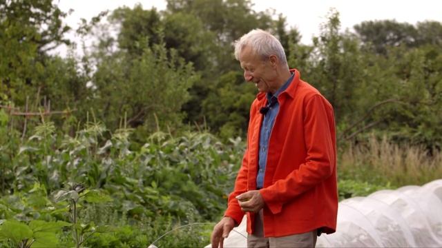 Soil with few weeds gives you more time to grow смотреть онлайн