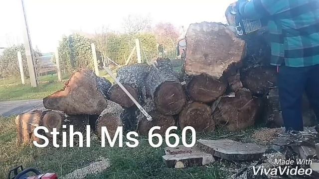 Stihl Chainsaw ?