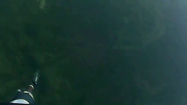 ПОДВОДНАЯ ОХОТА 12.04.2017 "РАЗВЕДКА НОВОГО МЕСТА" смотреть онлайн