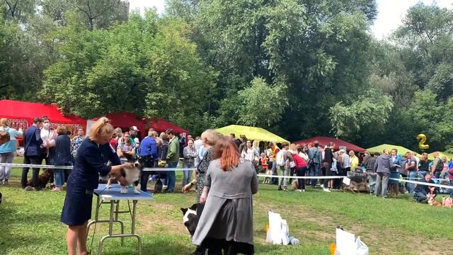 Монопородка ВКК. 02.08.2020 смотреть онлайн