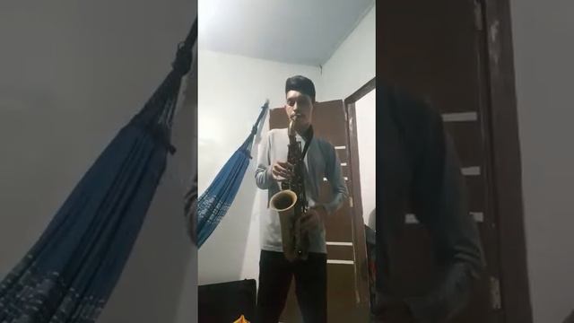 Minha primeira música no sax alto da marca Michael 🎷🎶🙌 смотреть онлайн