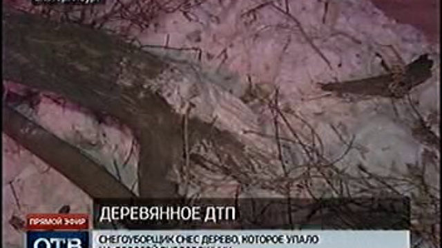 Падение дерева на автомобиль смотреть онлайн