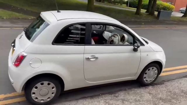 Fiat 500 1.2 Pop (s/s) 3dr - The Manchester Motor Company смотреть онлайн