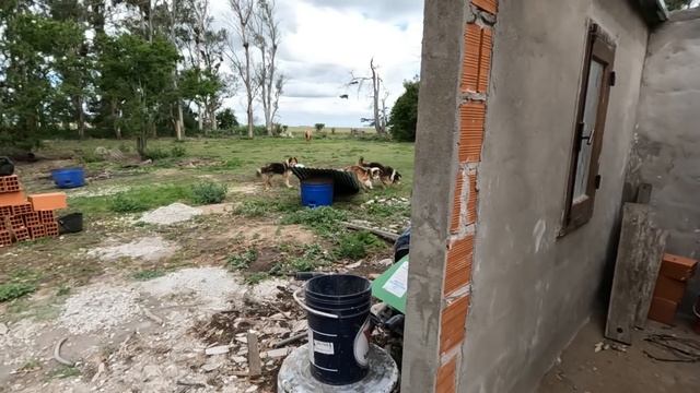 El Recolector de Huesos смотреть онлайн
