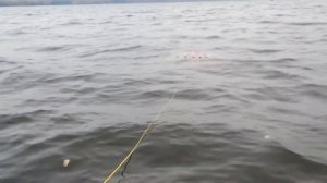 Водный парус - парашют.