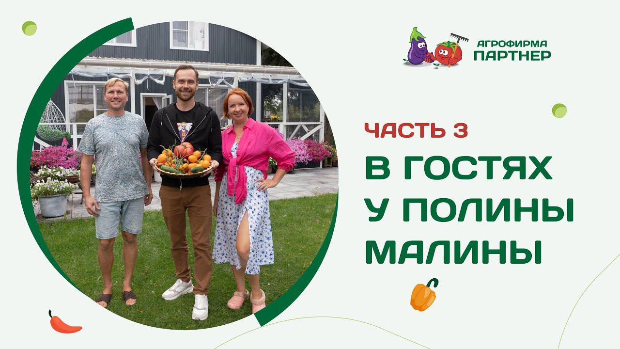 В гостях у известного блогера. Часть III. А растет ли малина на участке Полины Малины? смотреть онлайн