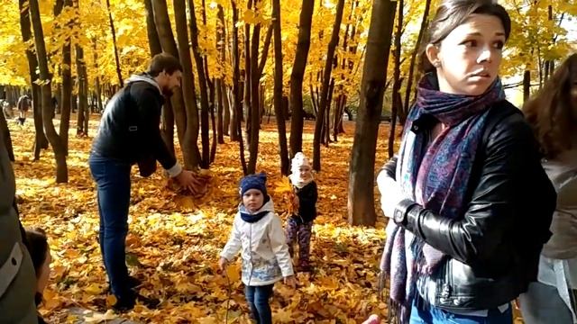 осень в парке смотреть онлайн