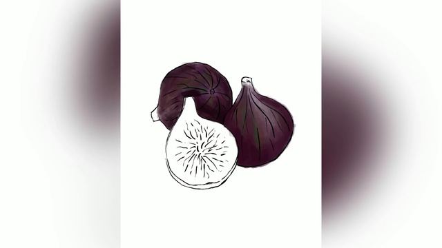 Sketch of figs in Procreate Time Lapse/ Скетч инжира в прокриэйт смотреть онлайн