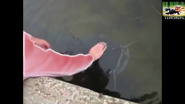 Маленький сомик