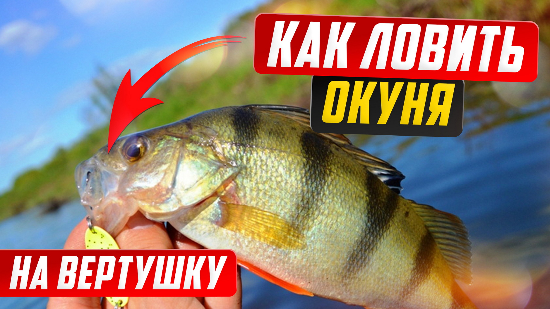 Окунь на вертушку, щука на вертушку, ловля окуня на спиннинг. смотреть онлайн