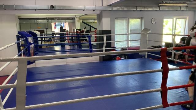 Бокс спарринг 24 смотреть онлайн