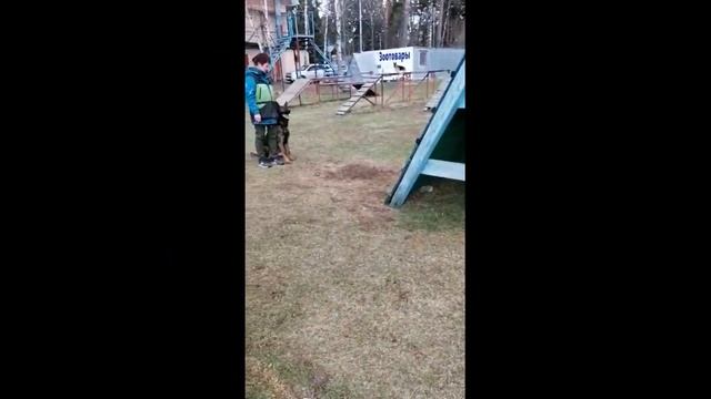Орли из Розы Ветров смотреть онлайн