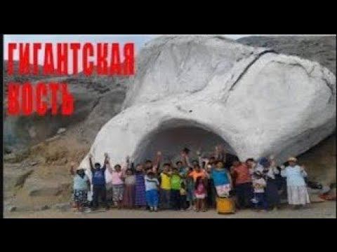 Шокирующая находка в Перу