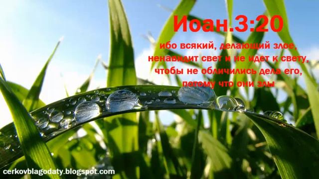 Свет или тьма, что выбираешь ты? смотреть онлайн