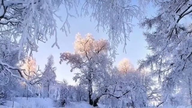 Романтика Зимы! Японский саксофон смотреть онлайн