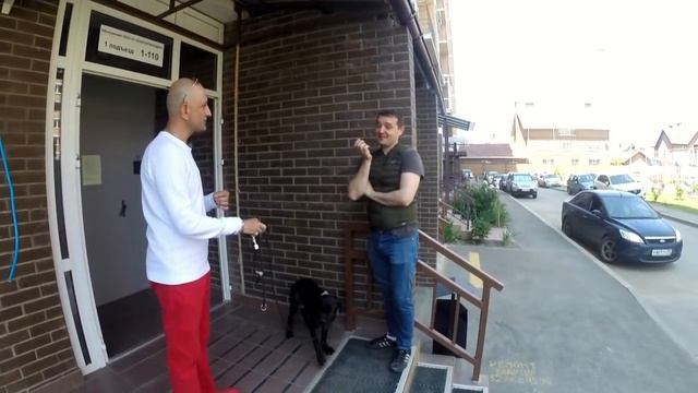 СТРАХИ (Как не развивать страхи и помочь собаке преодолевать их) смотреть онлайн