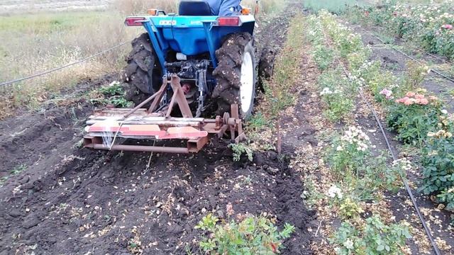 Копка роз минитрактором! Виброскоба!!! rozapochtoi.ru смотреть онлайн