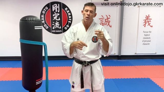 Online Dojo: Side Back Fist Highlights смотреть онлайн