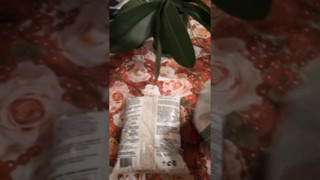 Огурцы и фосфорное удобрение 🥒🥒🥒 смотреть онлайн