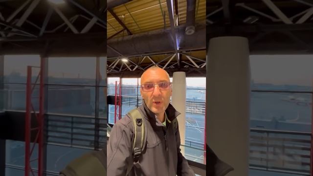 Страшнейший неурожай луковиц тюльпанов смотреть онлайн