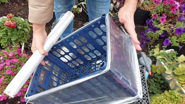 Как я заматываю ящики пленкой для черенкования гортензий? Подробно показываю в видео? смотреть онлайн