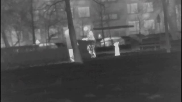 Тепловизор Pulsar Helion 2 XQ50 - настройка картинки.