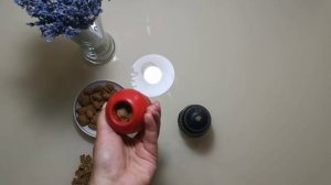 Чем занять собаку|Kong (Конг)|Лучшая игрушка для собак| Выпуск #3