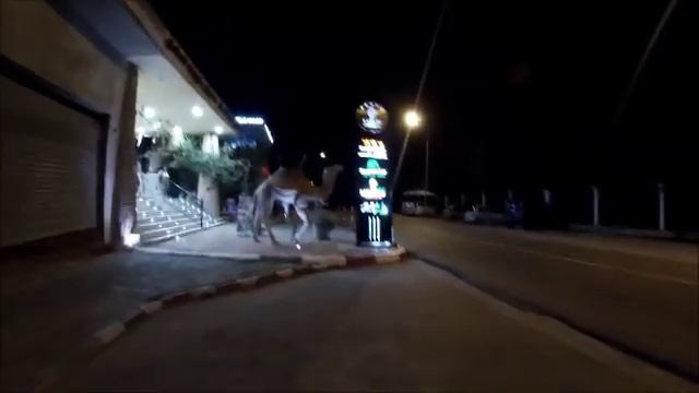 ÐÐ°Ð³Ð°Ð·Ð¸Ð½ Ð¡Ð°ÑÐ°ÑÐ¸ (Ð¿Ð¾Ð´Ð°ÑÐºÐ¸ ÑÑÐ²ÐµÐ½Ð¸ÑÑ) Houda Golf & Beach Club 3*..mp4 смотреть онлайн