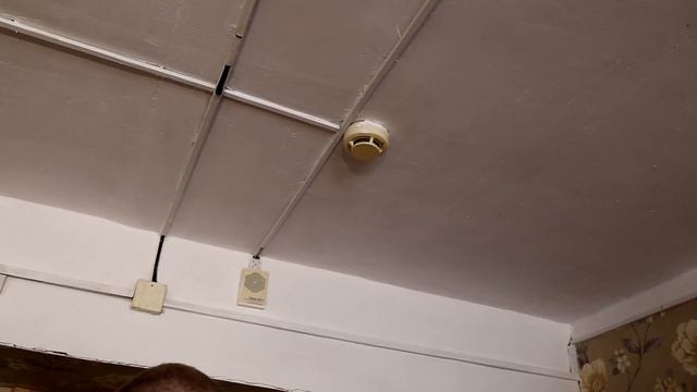 Безопасность в общежитиях: надзорные мероприятия МЧС смотреть онлайн