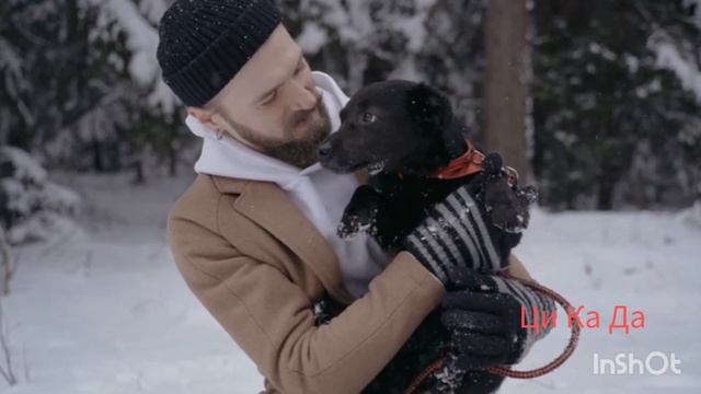 "БЕЛЫМ СНЕГОМ" - кавер на гитаре от Ци Ка Ды смотреть онлайн