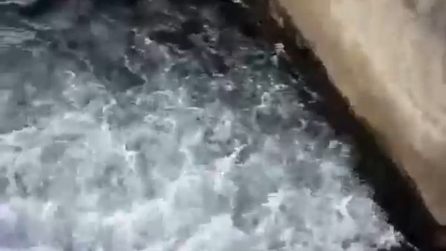 youtube - kayak rodeo rulo pantano santana.mp4 смотреть онлайн
