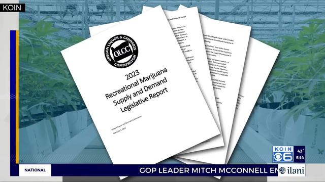 Oregon pot prices: Too much weed, not enough demand смотреть онлайн