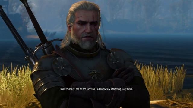 The Witcher 3: Wild Hunt – Setting Fire To Eternal Fire Priest смотреть онлайн
