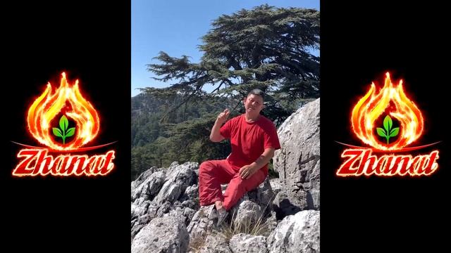 Жанат Кожамжаров: #9 Практика Сюцай и коммуникация в команде смотреть онлайн