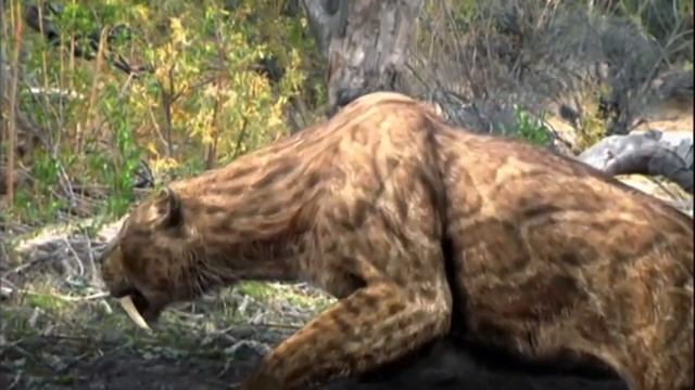 SMILODON FATALIS - EL TIGRE DIENTES DE SABLE смотреть онлайн