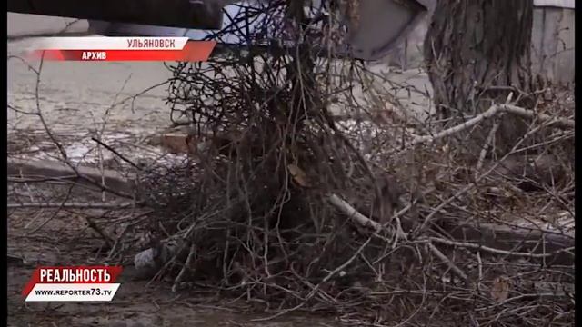 ДОЛГ "ВОЛГИ", ГИБЕЛЬ ДЕРЕВЬЕВ, ВОЗРОЖДЕНИЕ ОБИТЕЛИ смотреть онлайн