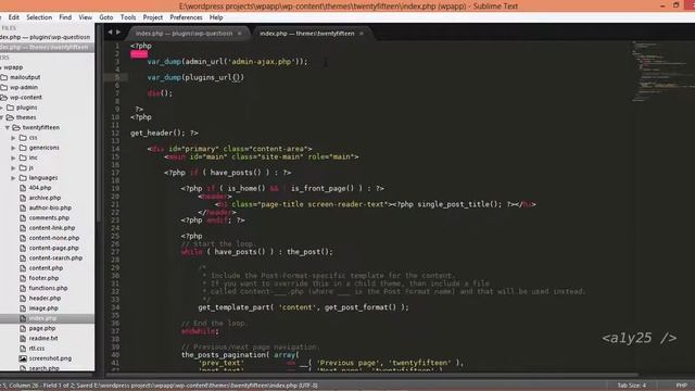 wordpress development - generate admin and plugin url, files смотреть онлайн