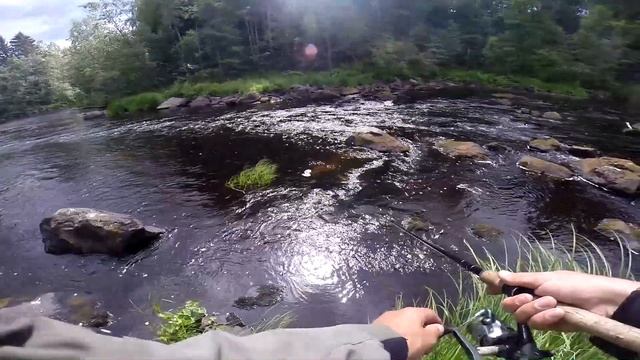 Карелия - Ручьевая форель смотреть онлайн