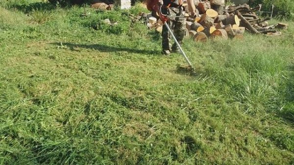 OLEO MAC 755 MASTER,3mm -es?️damillal,fűben!